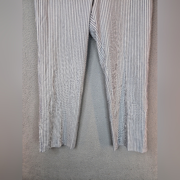 Amanda & Chelsea Womens Pants sz 14 Blue-White Railroad Stripe Modern Fit Ankle - Picture 4 of 10